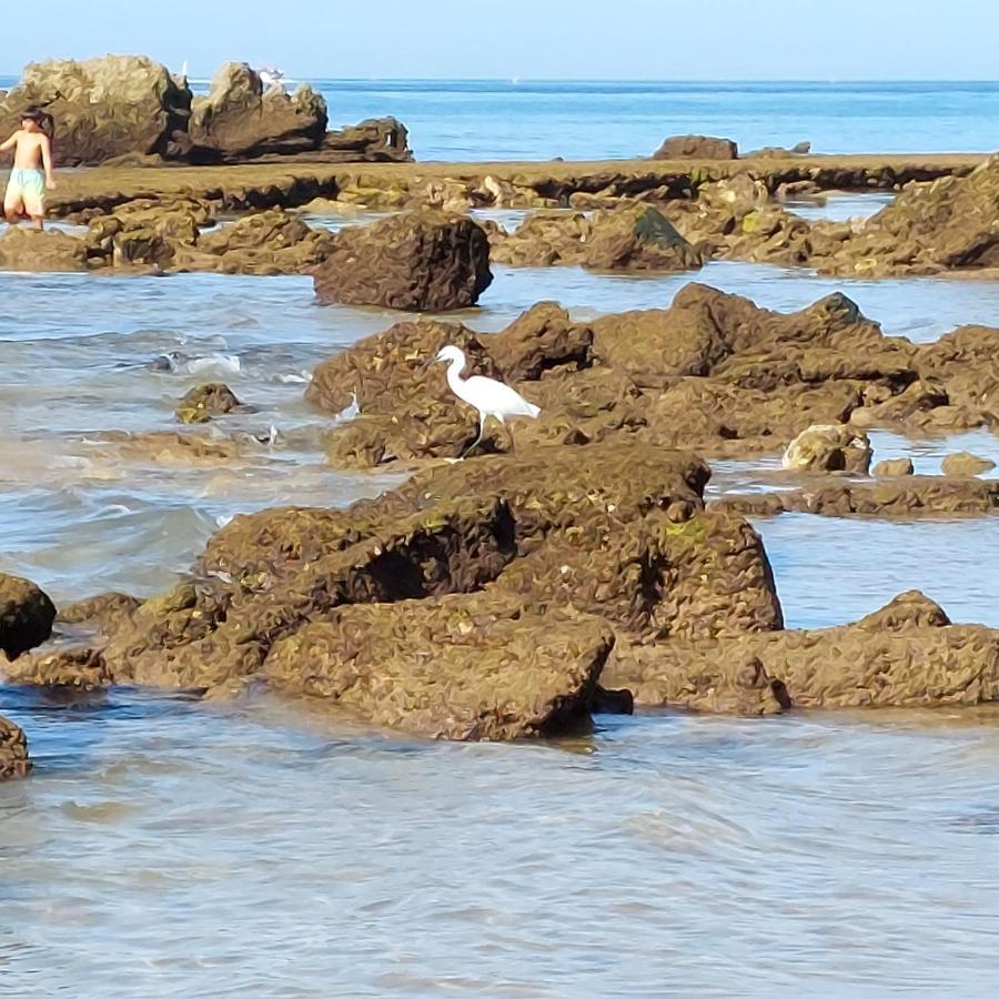 Paradise In Olhos D'Agua Beach Daire Albufeira Dış mekan fotoğraf