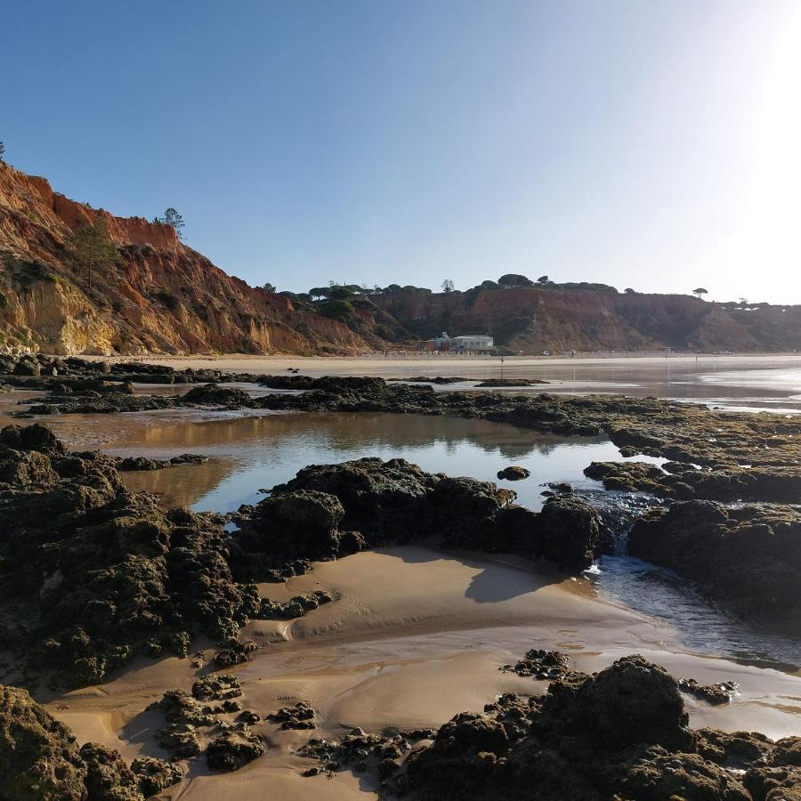 Paradise In Olhos D'Agua Beach Daire Albufeira Dış mekan fotoğraf